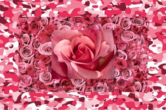 rose.collage